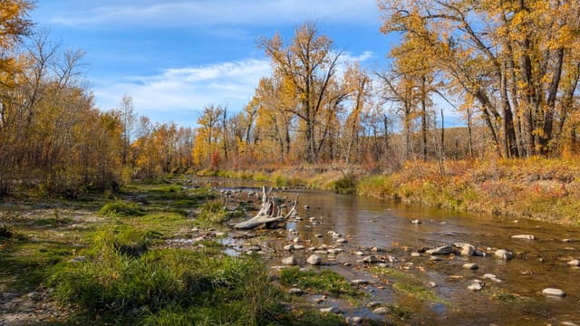 Fish Creek Provincial Park Campground