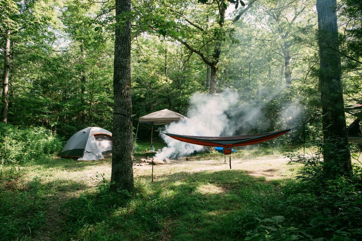 Miquelon Lake Provincial Park Campground