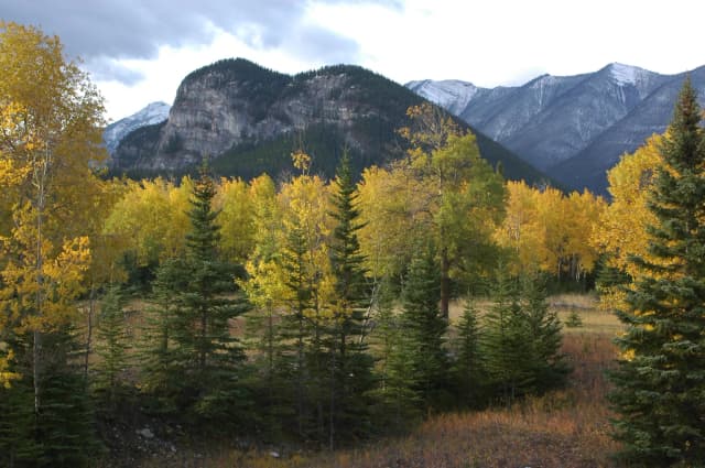 Tunnel Mountain Campground